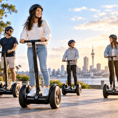 Collection image for: SEGWAYS